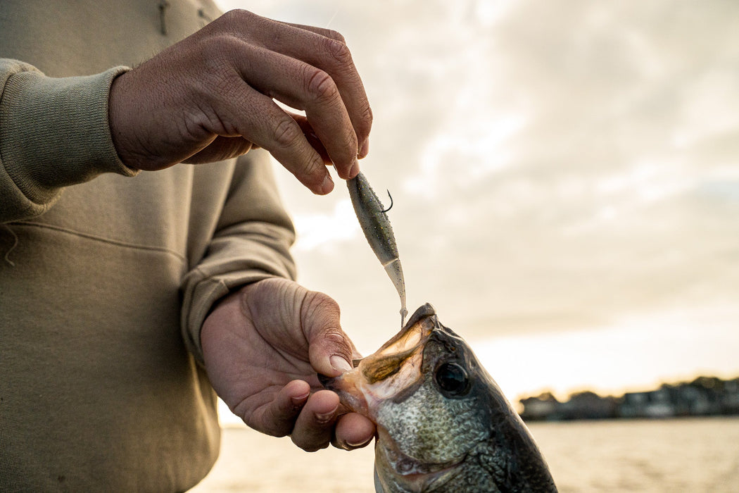 6th Sense  Ozzie 4.0