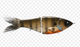 Clutch OG Glide