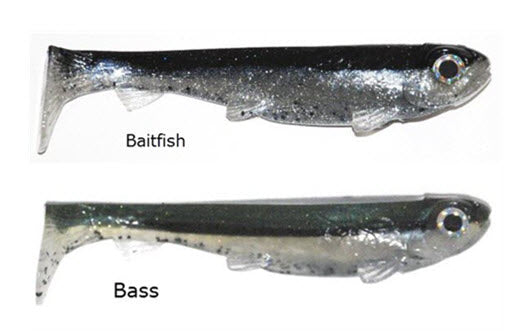 3:16 Rising Son Line Thru | Fishin' World 3:16 Rising Son Line Thru | Fishin' World