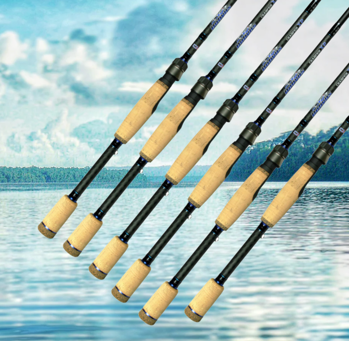 dobyns 806 swimbait rod Dobyns Champion XP Casting Rods