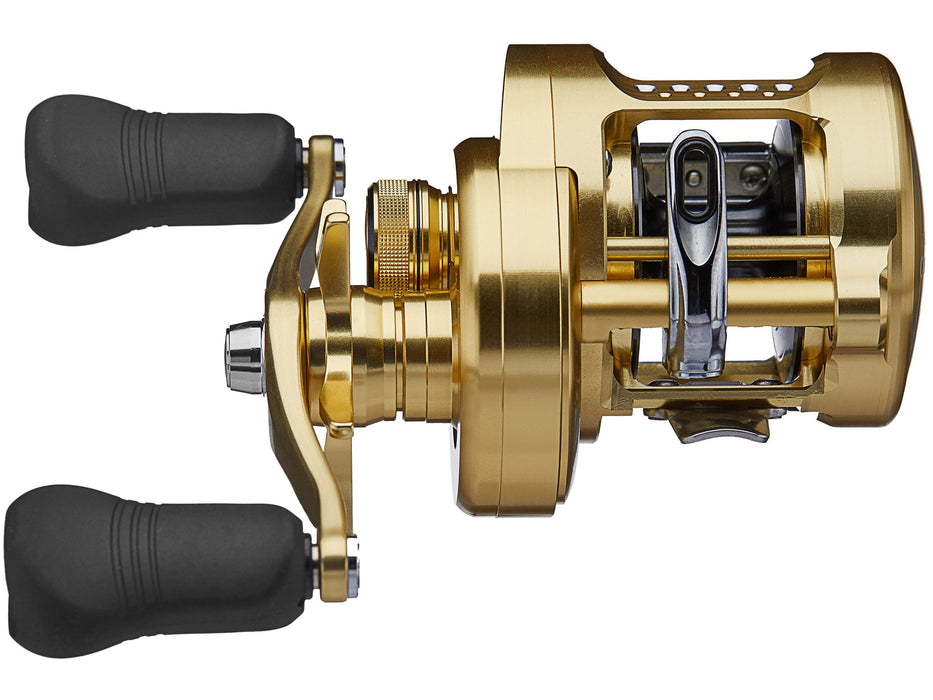 Cleaning the Shimano Calcutta Reel